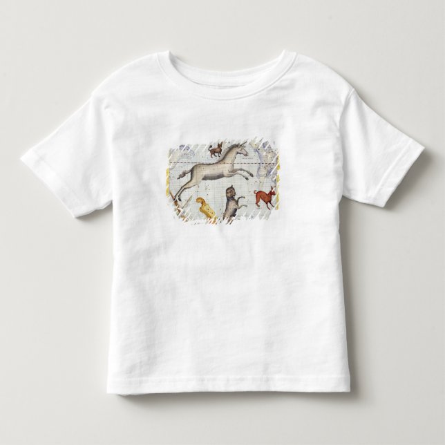 Camiseta Constelação de Monoceros com Canis Major e Mi (Frente)