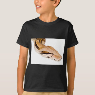 Camiseta Constrictor de boa