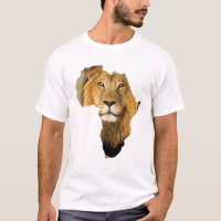 Continente Africano Leão Animal Africano