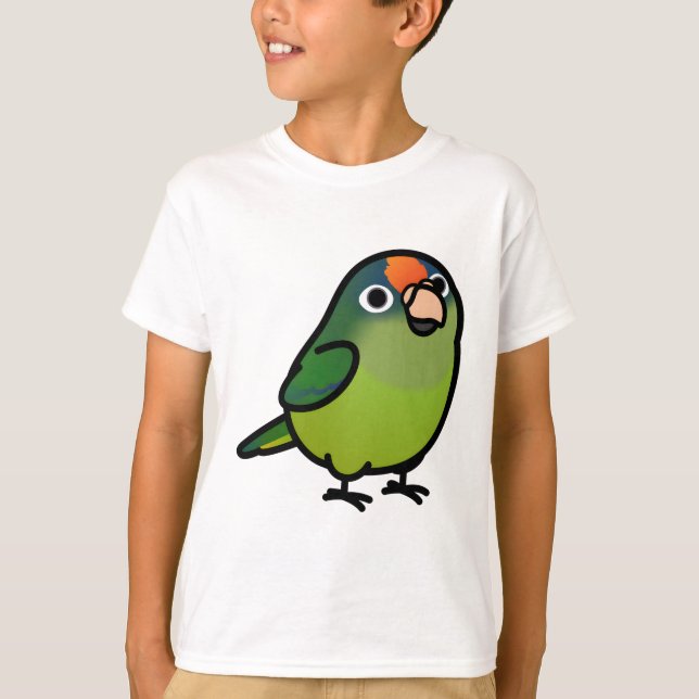 Camiseta Conure de fronte laranja (Frente)