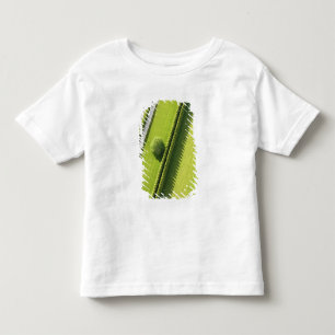 Camiseta Conversão no Hamptons