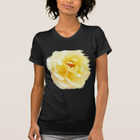 Cor de Luz Maciça Rosa Amarelo Branco