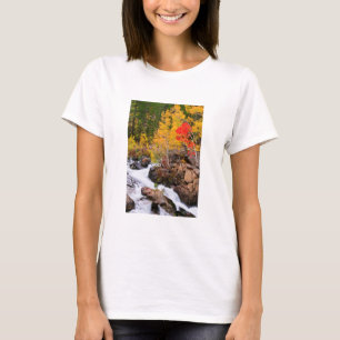 Camiseta Cor de queda ao longo de Bishop Creek, CA