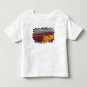 Camiseta Cor de queda intensa vermelha e amarela em Gehring