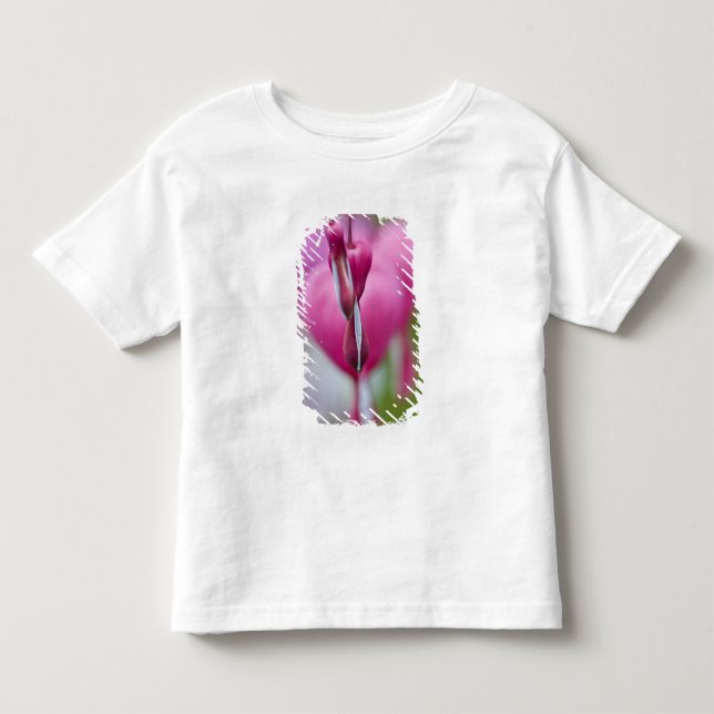 Camiseta Cor dramática e forma de coração sangrando (Frente)