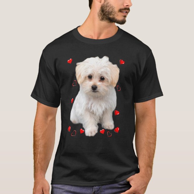 Camiseta Corações de Cachorrinho Maltês (Frente)