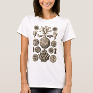 Camiseta Coral