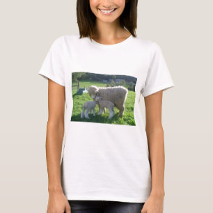 CAMISETA CORDEIRO PEQUENO