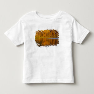Camiseta Cores de outono no Parque Estadual Maplewood perto