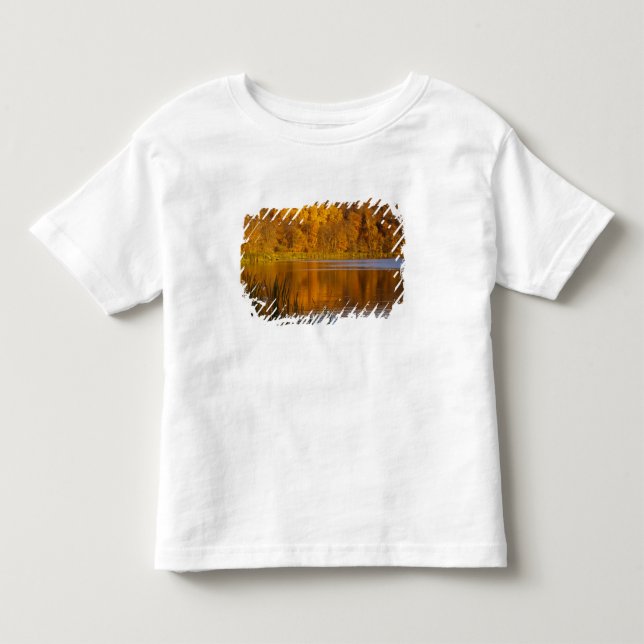 Camiseta Cores de outono no Parque Estadual Maplewood perto (Frente)