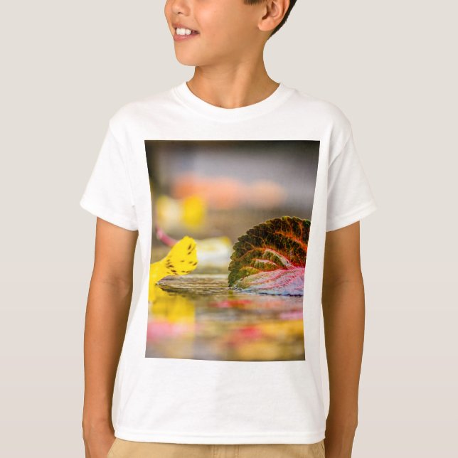 Camiseta Cores de queda (Frente)