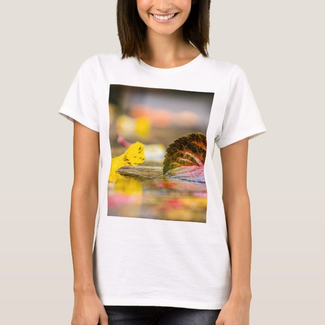 Camiseta Cores de queda (Frente)