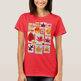 Camiseta Cores do outono do folhagem de outono das folhas