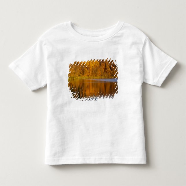Camiseta Cores do outono em Maplewood State Park perto (Frente)