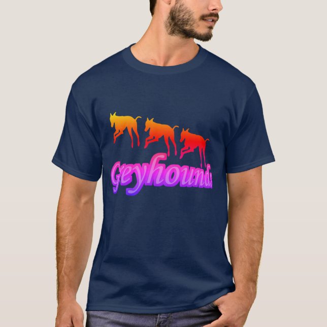 Camiseta Correndo o Greyhound Trio Silhouette Rainbow (Frente)