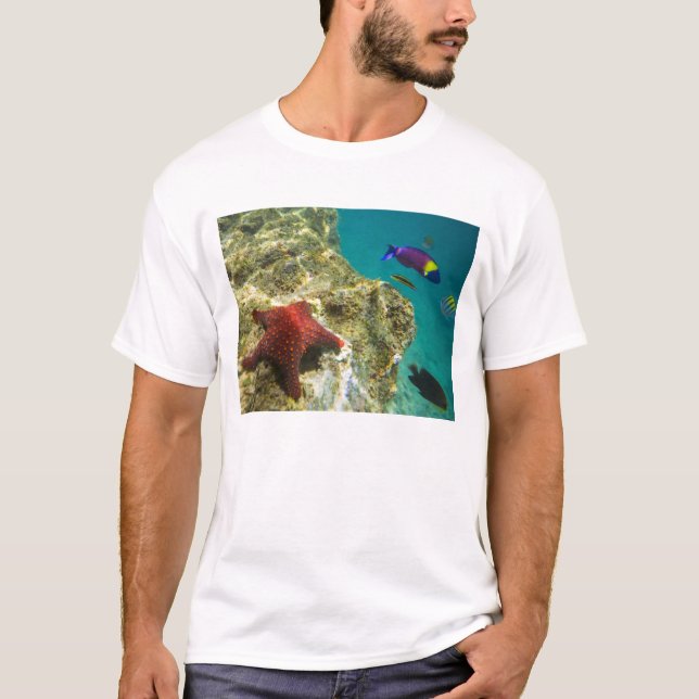 Camiseta Cortez Rainbow Wrasse macho e fêmea e mar (Frente)