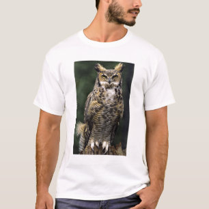 Camiseta Coruja-americana (Bubo virginianus), corpo inteiro