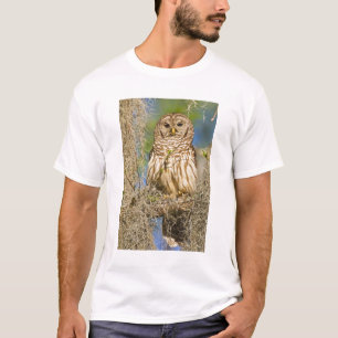 Camiseta Coruja-barreada (Strix varia) empoleirada em árvor