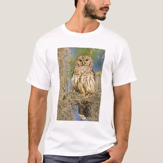 Camiseta Coruja-barreada (Strix varia) empoleirada em árvor (Frente)