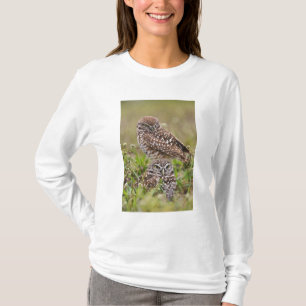 Camiseta Coruja-buraqueira, Athene cunicularia, Cape Coral,