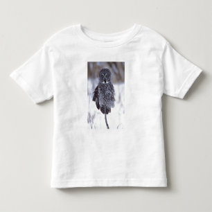 Camiseta Coruja Cinzenta Grande perto de Pine City MN,