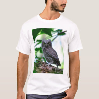 Camiseta Coruja de Screech oriental