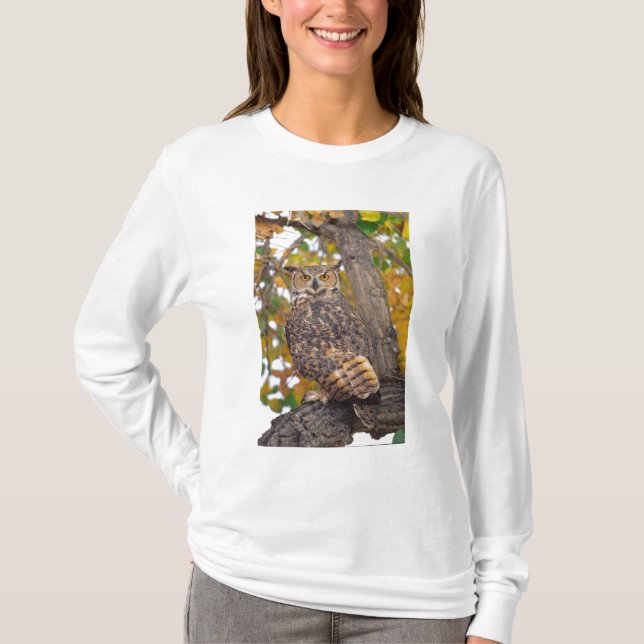 Camiseta Coruja excelente (Frente)