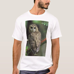 Camiseta Coruja-Norte - Strix occidentalis caurina