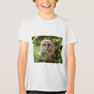 Camiseta Corujas 11