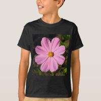 Cosmos Rosa (Foto Quadrada)