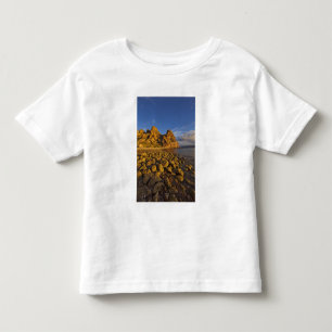 Camiseta Costa do Marfim no Golfo de