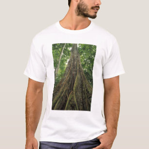 Camiseta Costa Rica, Parque Nacional Corcovado, Apoiado