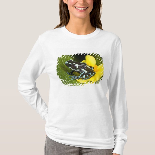 Camiseta Costa Rica, Península de Osa (Frente)