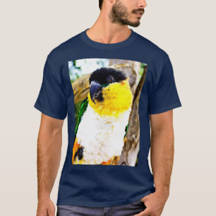 Camiseta Coy