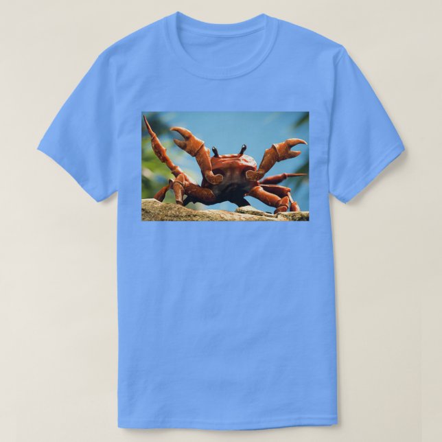 Camiseta Crab Rave (Frente do Design)