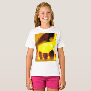 Camiseta Creation of the dragon cat