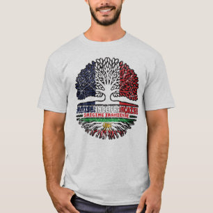 Camiseta Crescido Francês, Raízes Iranianas – Leão e Sol