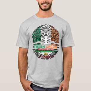 Camiseta Crescido Irlandês, Raízes Iranianas – Leão e Sol