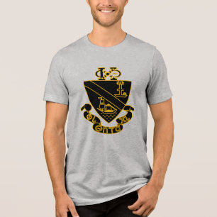 Camiseta Crest da Phi Chi Theta Dourado e Preto