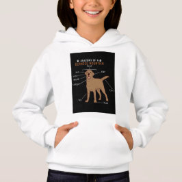 Camiseta Crianças Meninas BERNESE MONTANHA Hoodies & Sweats