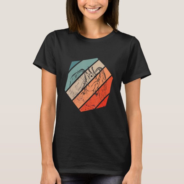 Camiseta Criptozoologia Hexa Retro Folcllore Criptid Mothma (Frente)