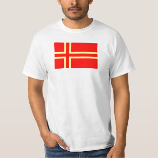 Camiseta Cruz Santo Olaf