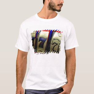 Camiseta Cruzeiro no México. Princess Cruises Dawn Princess