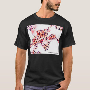Camiseta Cryptococcus neoformans