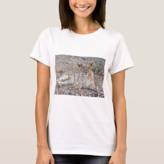 Camiseta Cubo Leão Com Uma Bela Gaze Inocente.