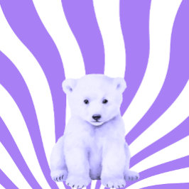 Camiseta Cubo Polar Bear