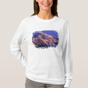 Camiseta Cume do Pico Denali Mt. McKinley) em