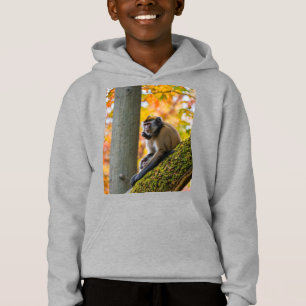 Camiseta Curiosidade de Outono: Macacos no Zoológico no Out