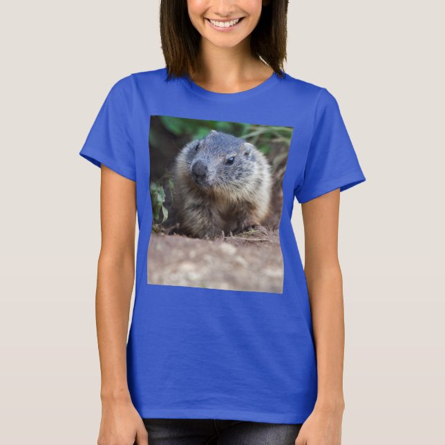 Camiseta Curioso Bebê Marmot Tee (Frente)