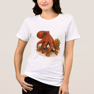Camiseta Curioso nas areias corais